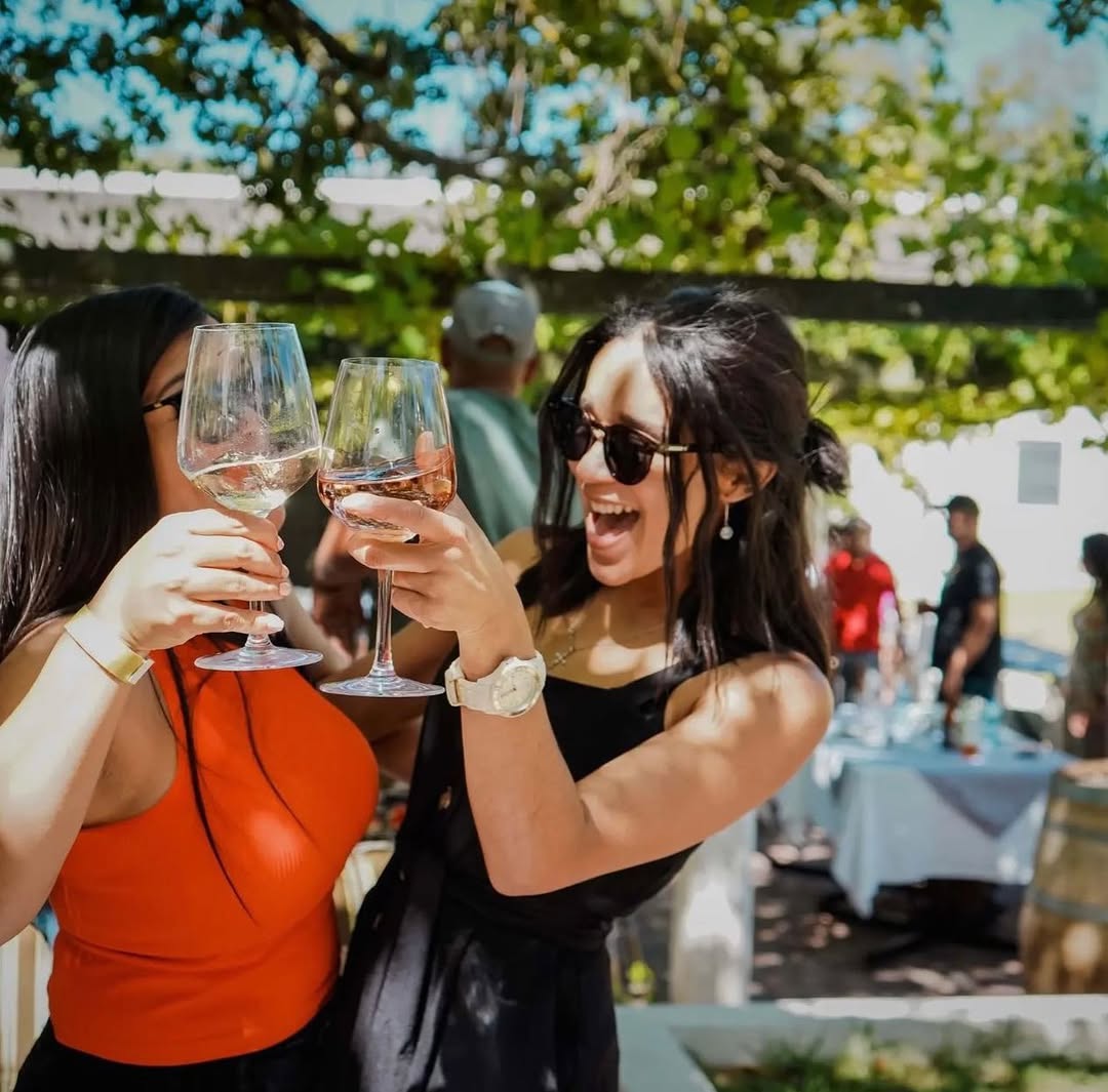 Friends toasting glasses of wine at an outdoor tasting at Morgenhof Estate