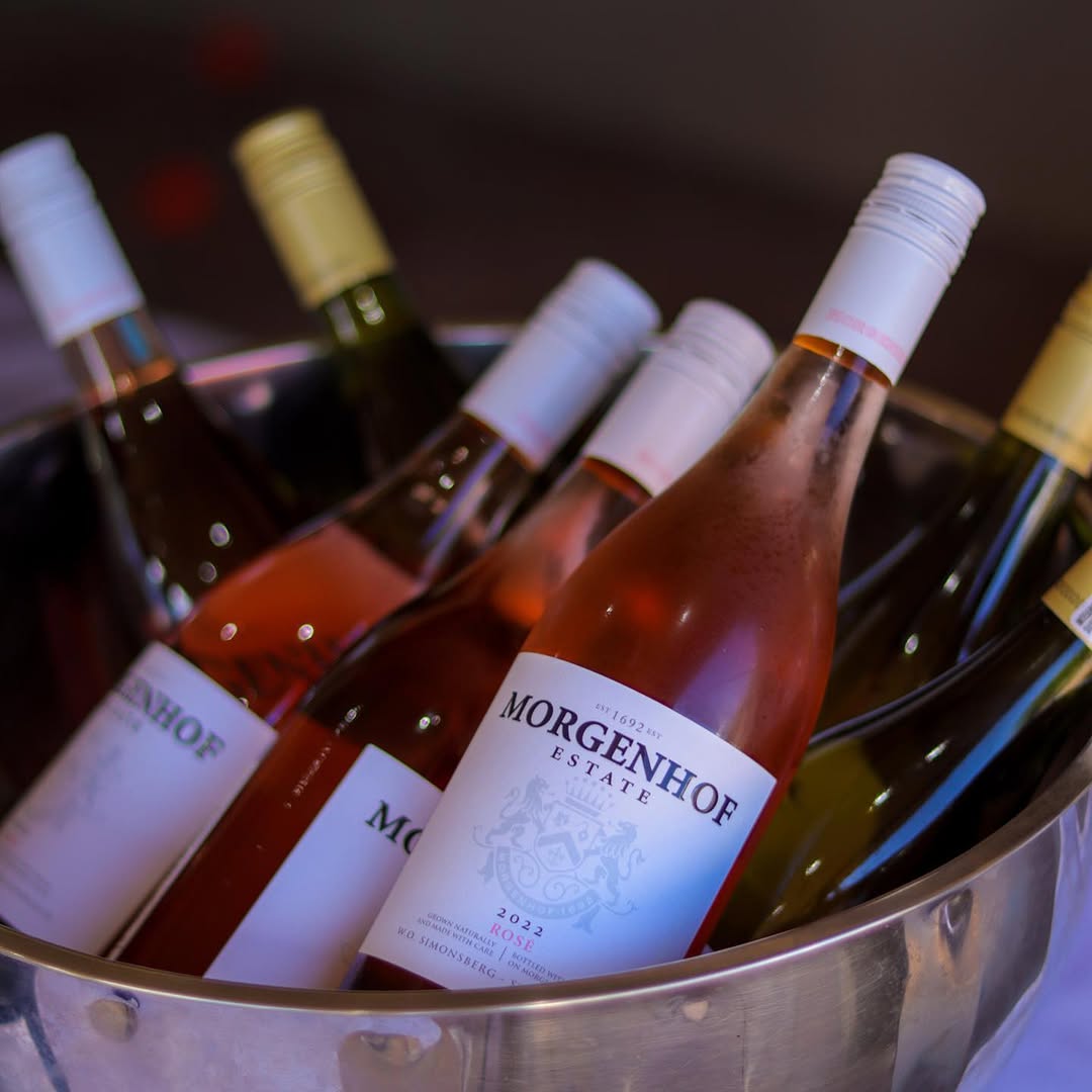 Morgenhof Estate wines chilling in an ice bucket