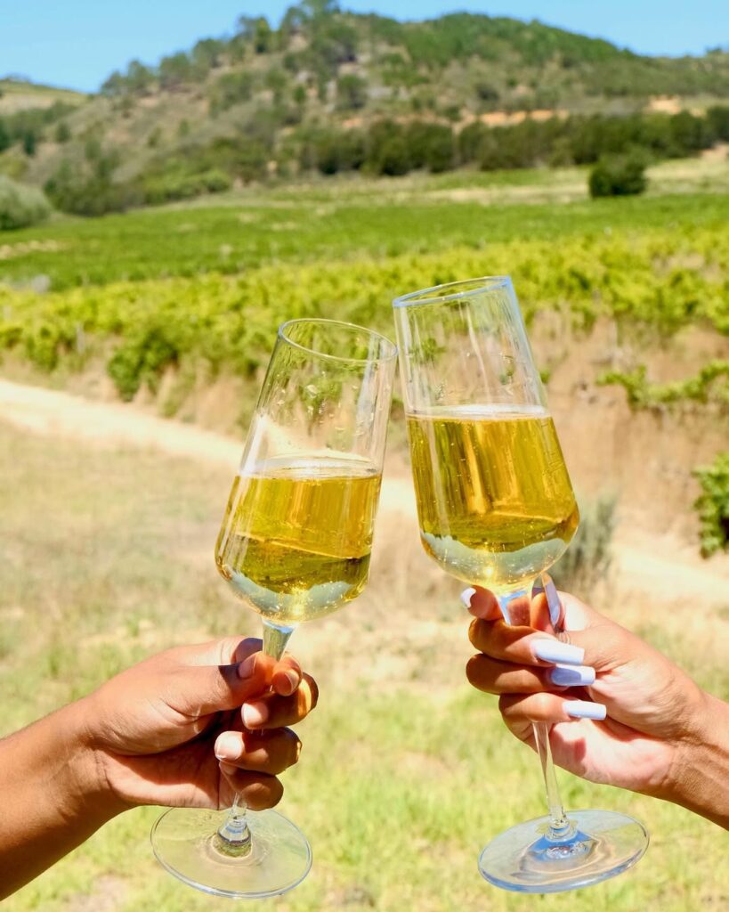Toasting glasses of sparkling wine overlooking the vineyards at Morgenhof Estate