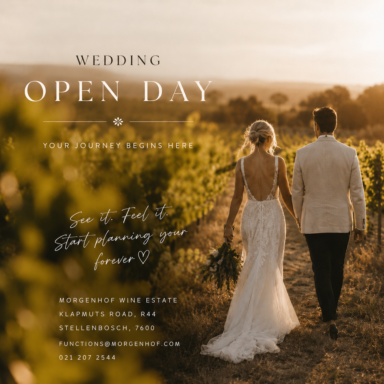 Morgenhof Wine Estate wedding open day with a couple walking in the vineyards