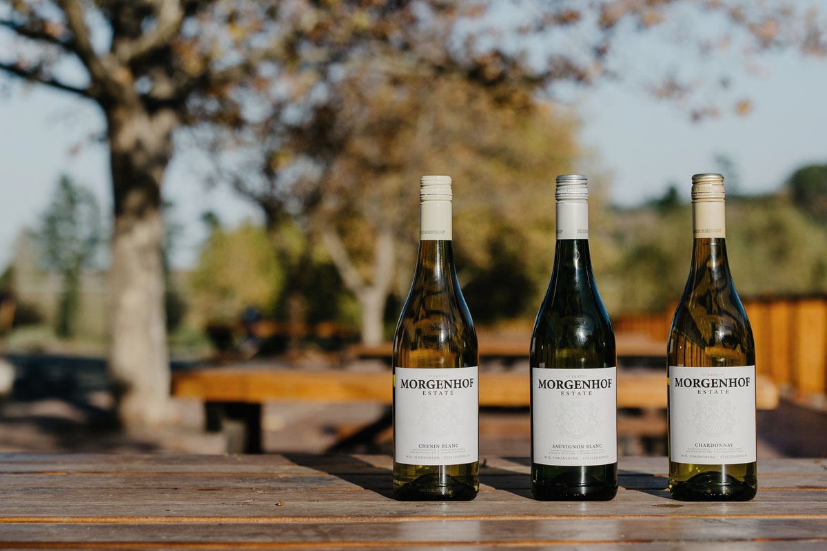Three Morgenhof Estate white wines on an outdoor table