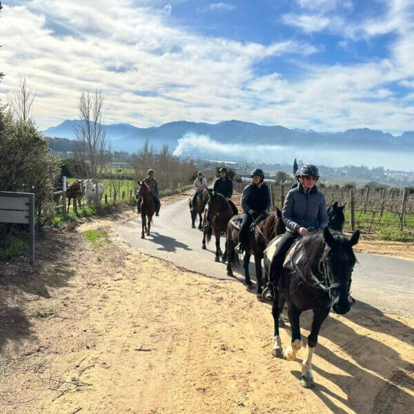 winevalleyadventures